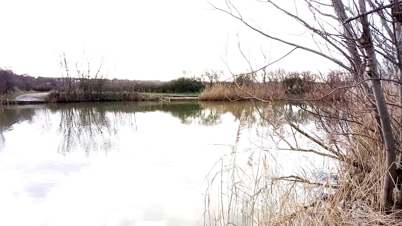 Carp fishing moreton brickworks wirral