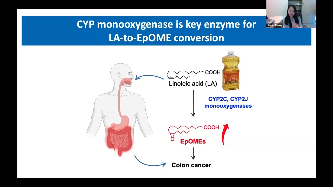 Molecular insights into how diet and xenobiotics impact gut health - Dr. Jianan Zhang