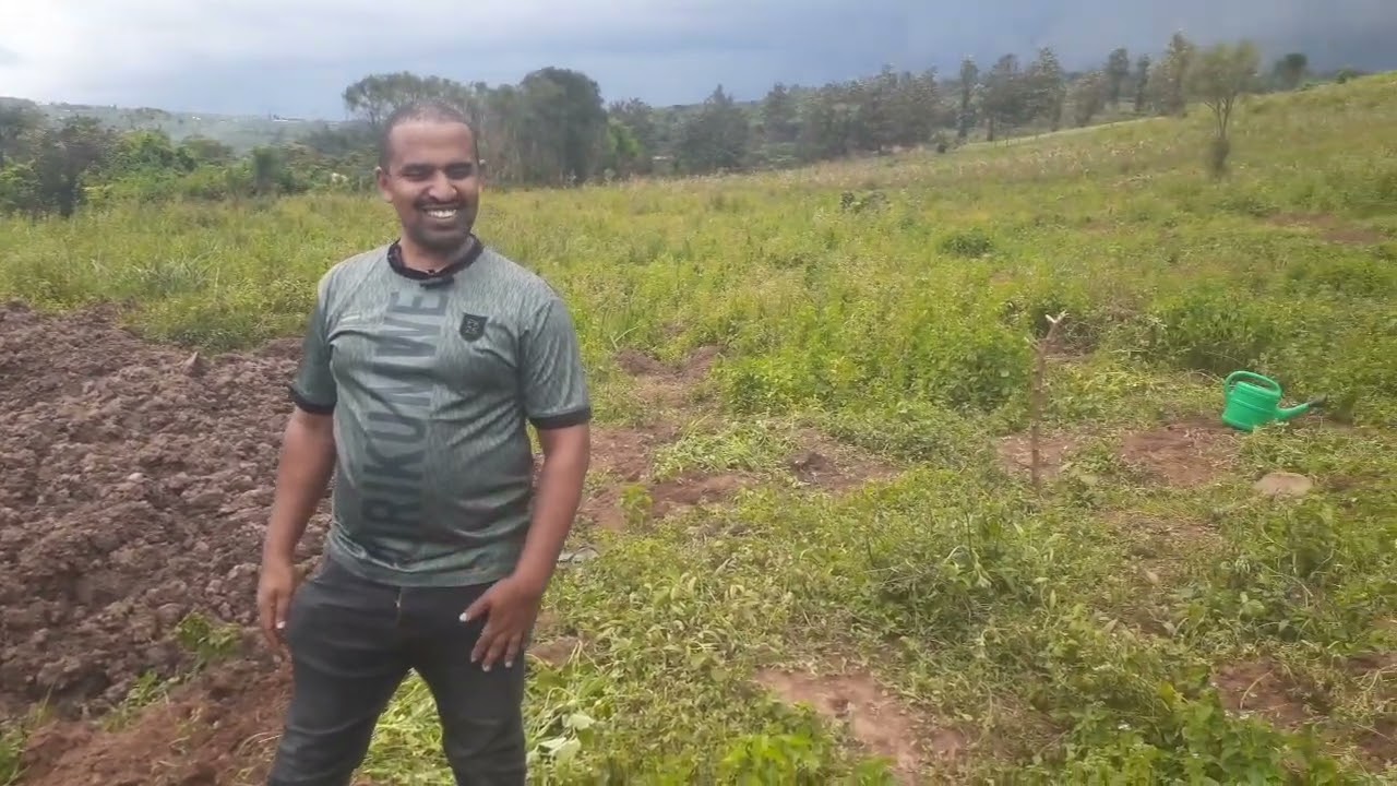 Ubuhinzi bwa pomme muri Kayonza/Nyamirama mu Gasura burarimbanyije.Eng.Ally,phone:0788549685