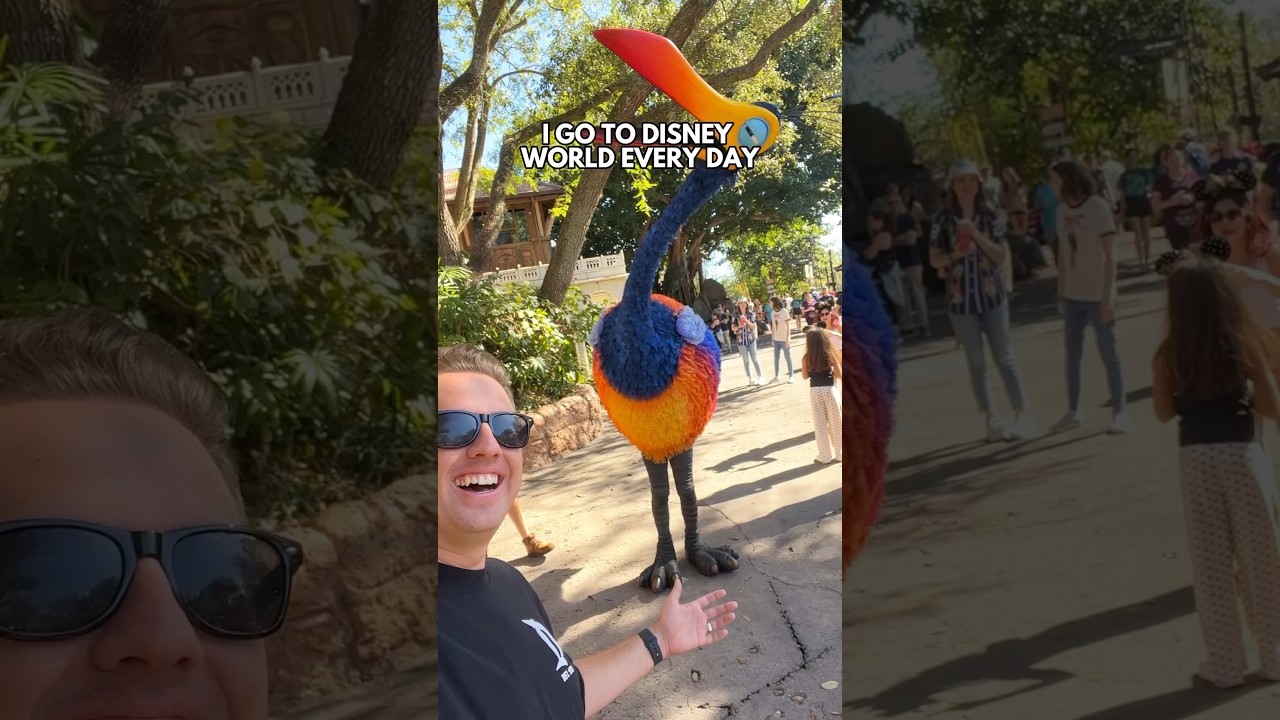 First 5 Rides to Ride in Disney&rsquo;s Animal Kingdom
