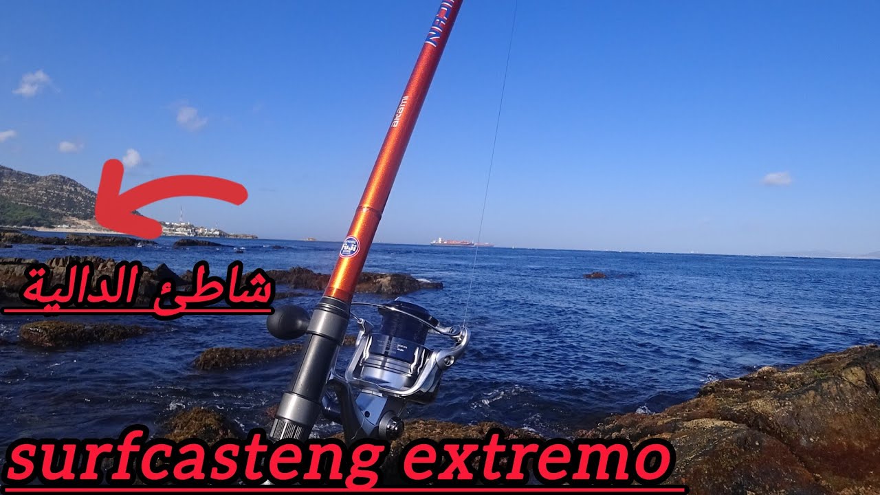  الصيد في الصخور بشاطئ الدالية، مصيد صخري 💯 #fishing #morocco 