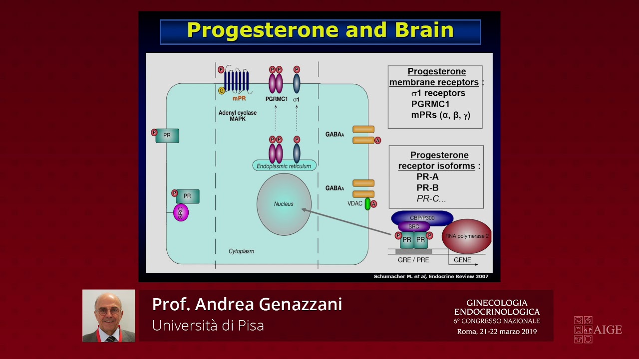 Menopausa, neurosteroidi e invecchiamento cerebrale