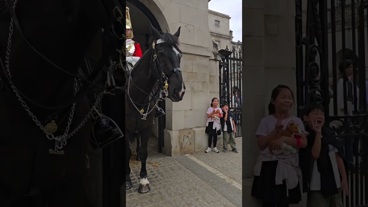 Respect Gesture at Horse Guards in London ❤️ 🇬🇧 

