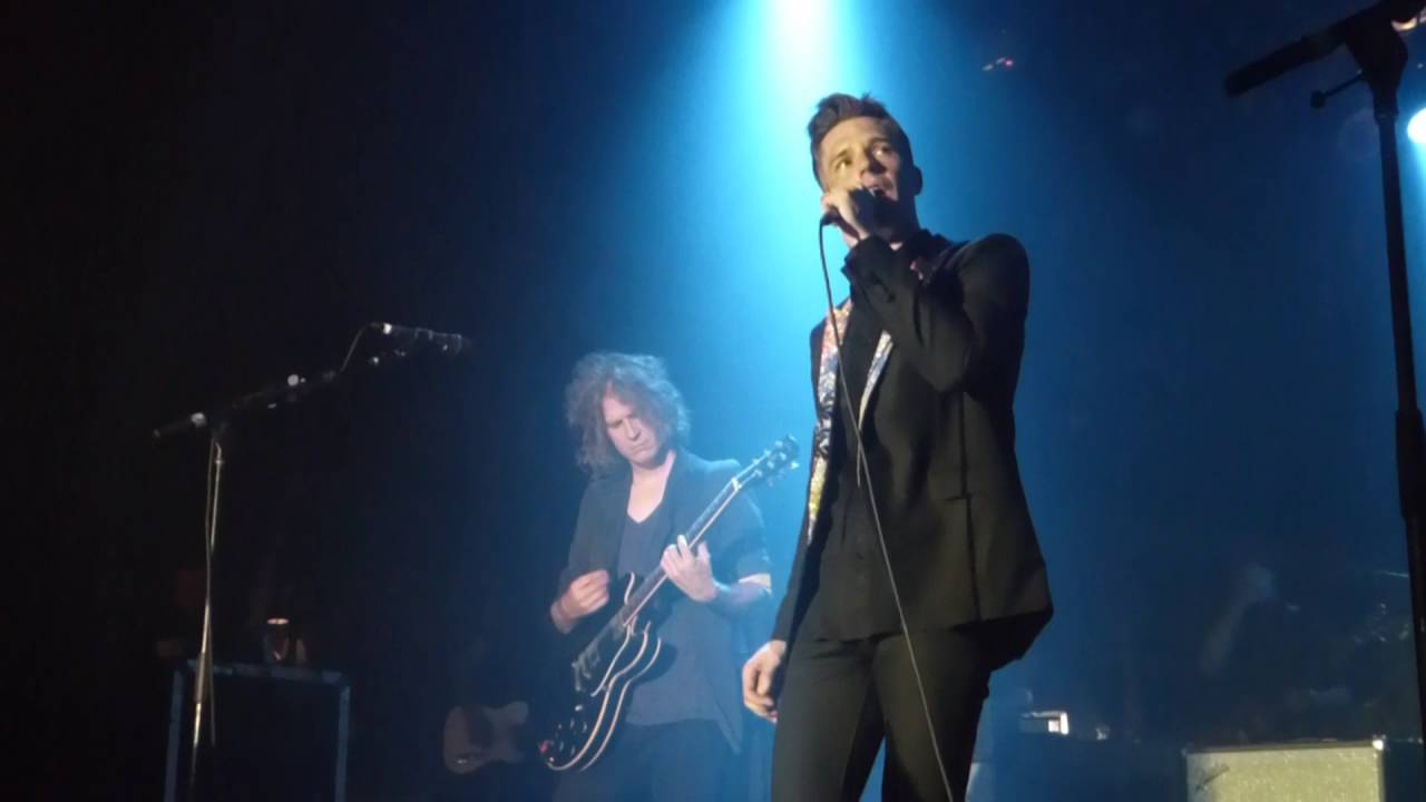 The Killers - Can't Help Falling in Love