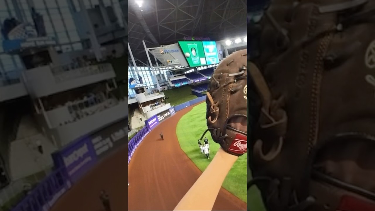 Great catch 