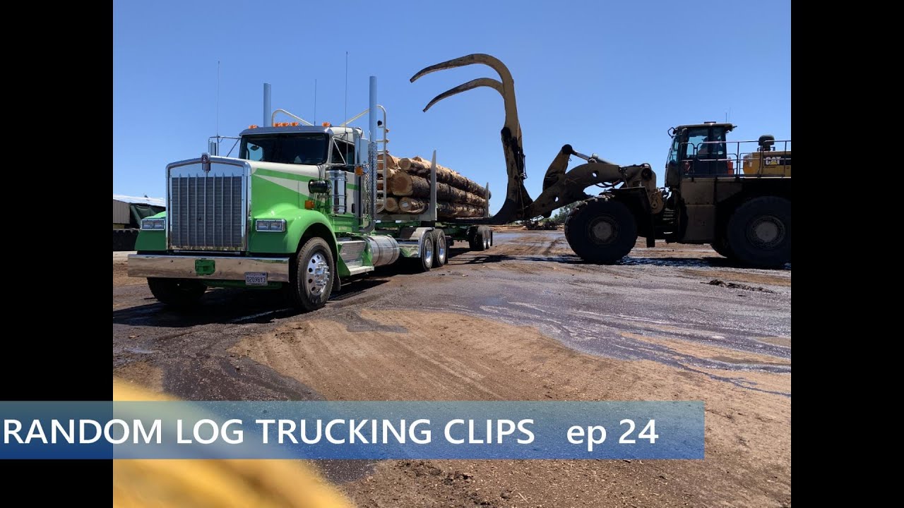 Random Log Trucking Clips ep24