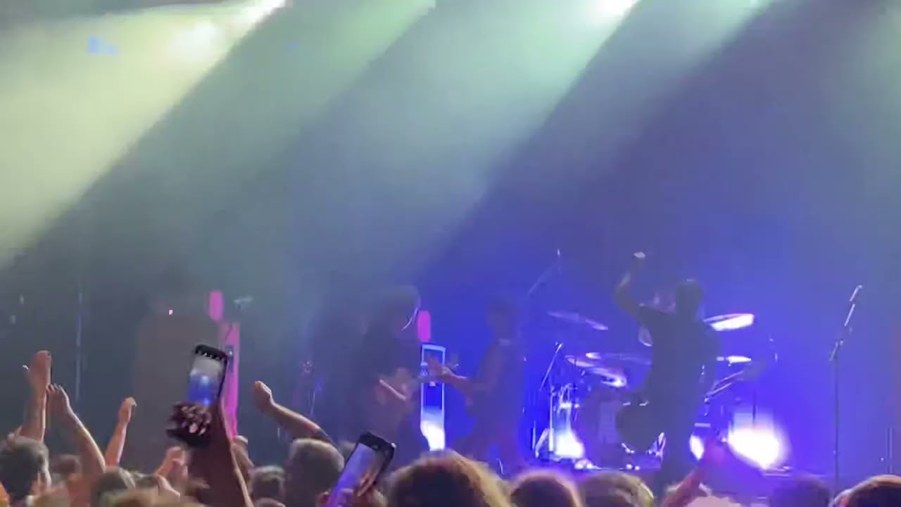 The Zen Circus - Viva (live)
