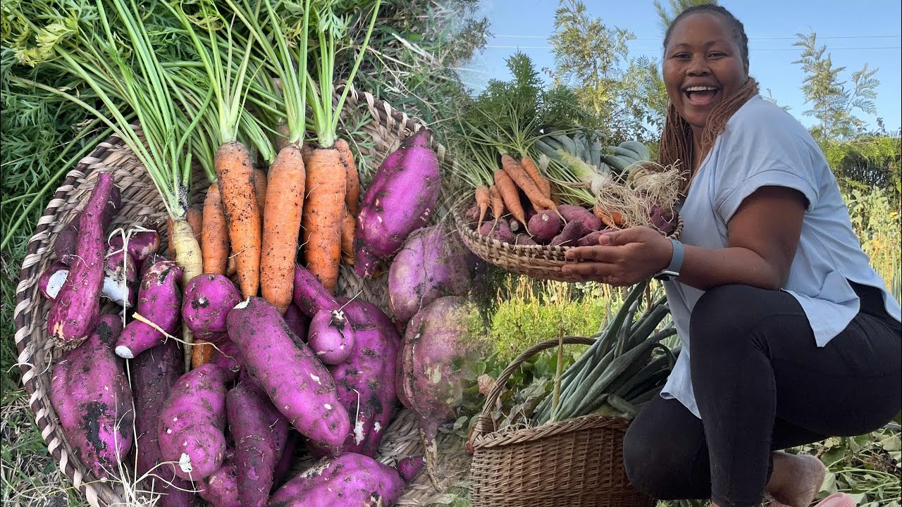 Slow Day, Simple Joys | Pruning Trees & Harvesting from the Garden