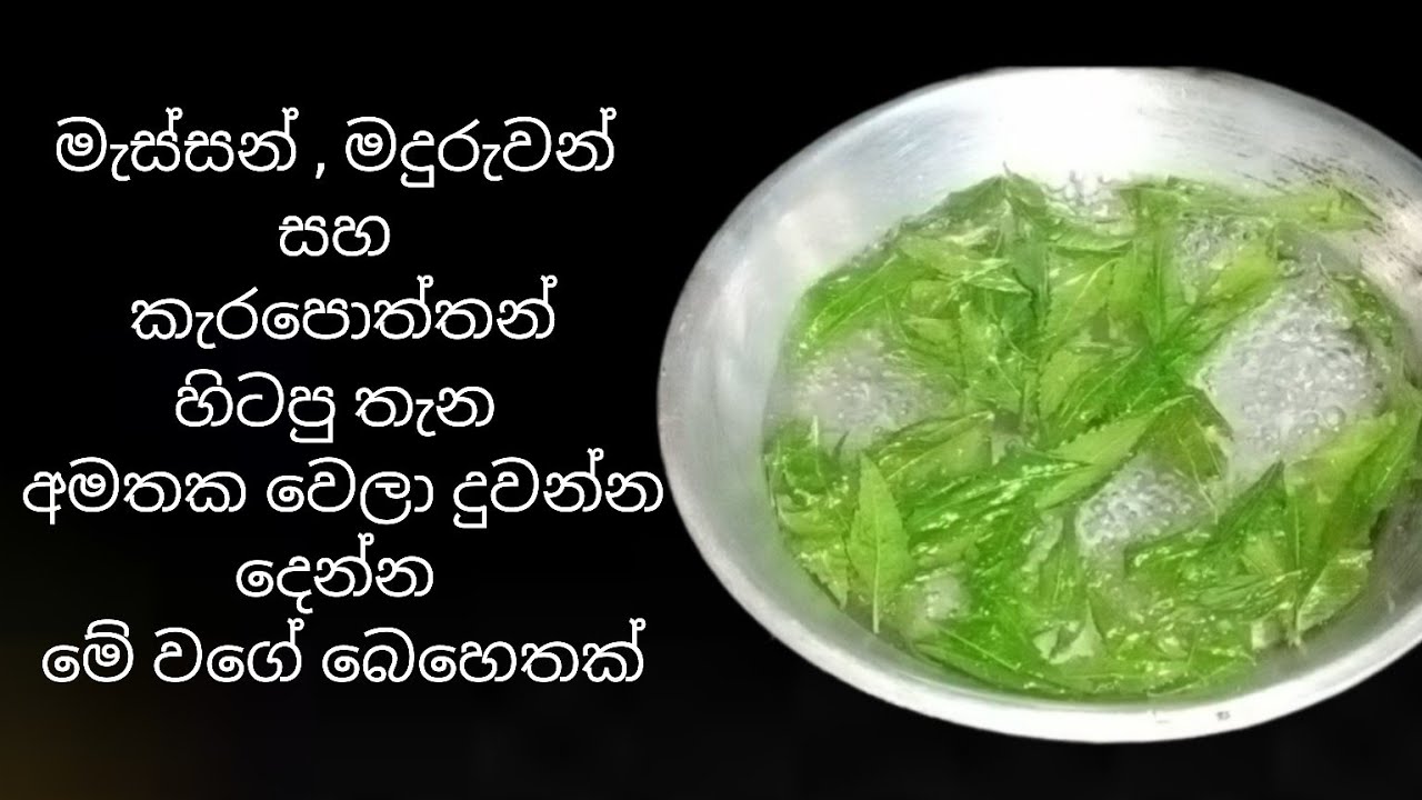 මැස්සන් පැත්ත පළාතේ එන්නැතිවෙන්න මේ ක්‍රමය පාවිච්චි කරන්න | Jawa Food Corner