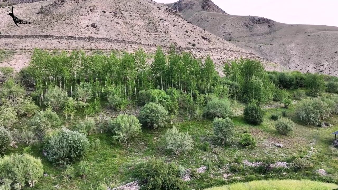 Purne near Phuktal Gompa