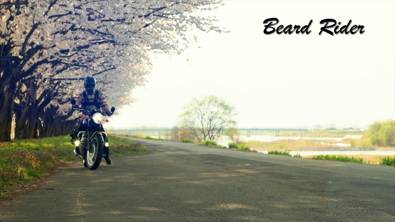 [035] Bonneville T120 Sakura (Hanami) Touring | Pure Exhaust Sound [2024 Spring]