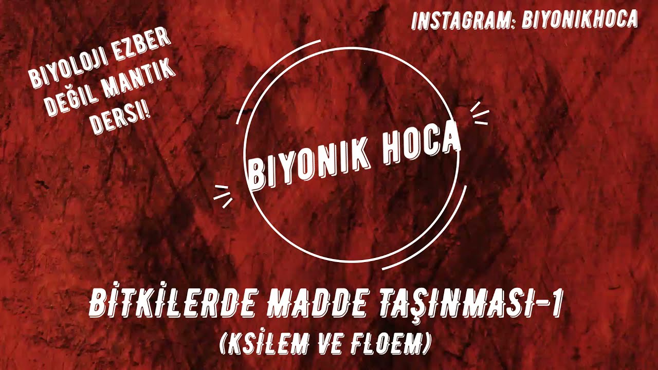 BİTKİLERDE MADDE TAŞINMASI-1 (KSİLEM VE FLOEM)