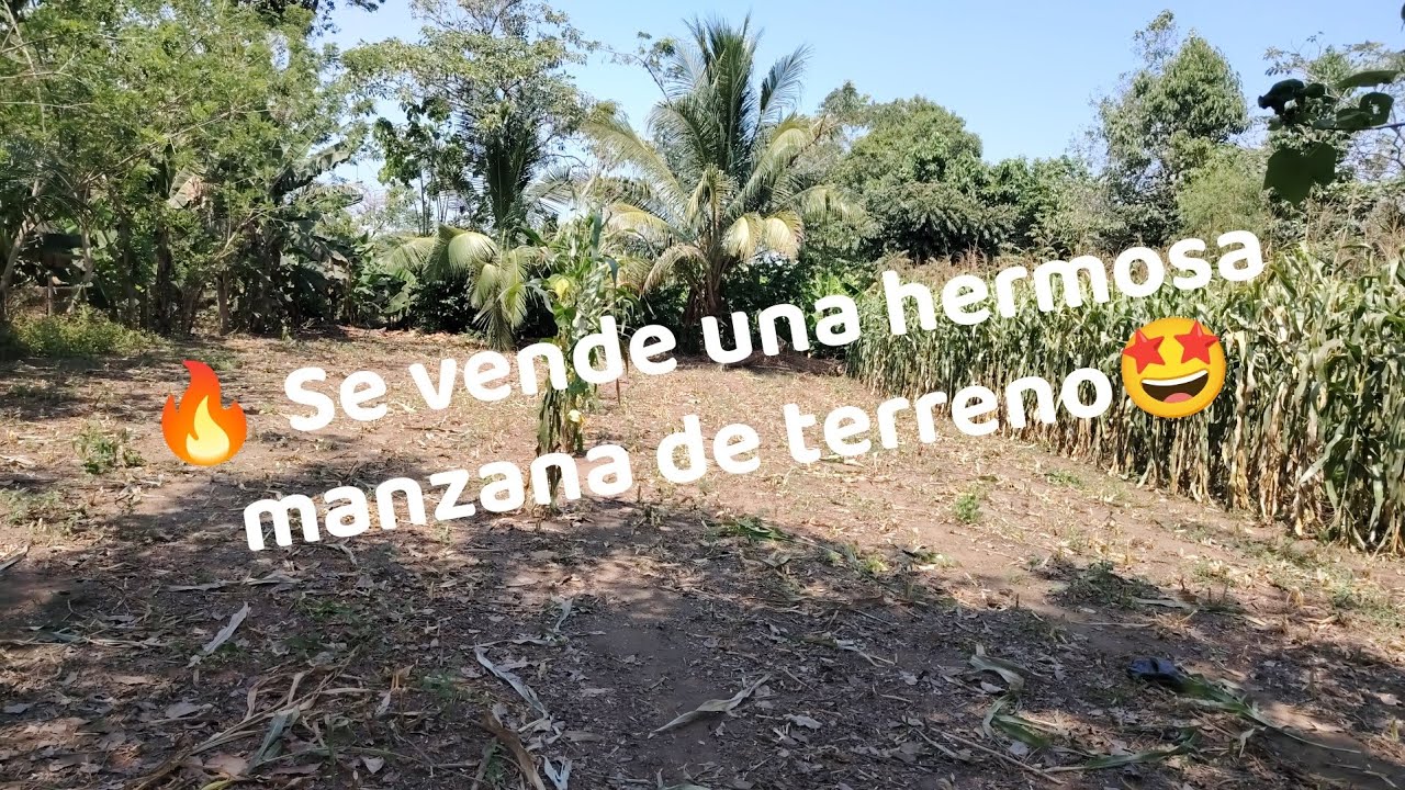 🔥 Se vende una hermosa manzana de terreno🤩 ubicadas cerca de nueva concepción Escuintla🚨🇬🇹