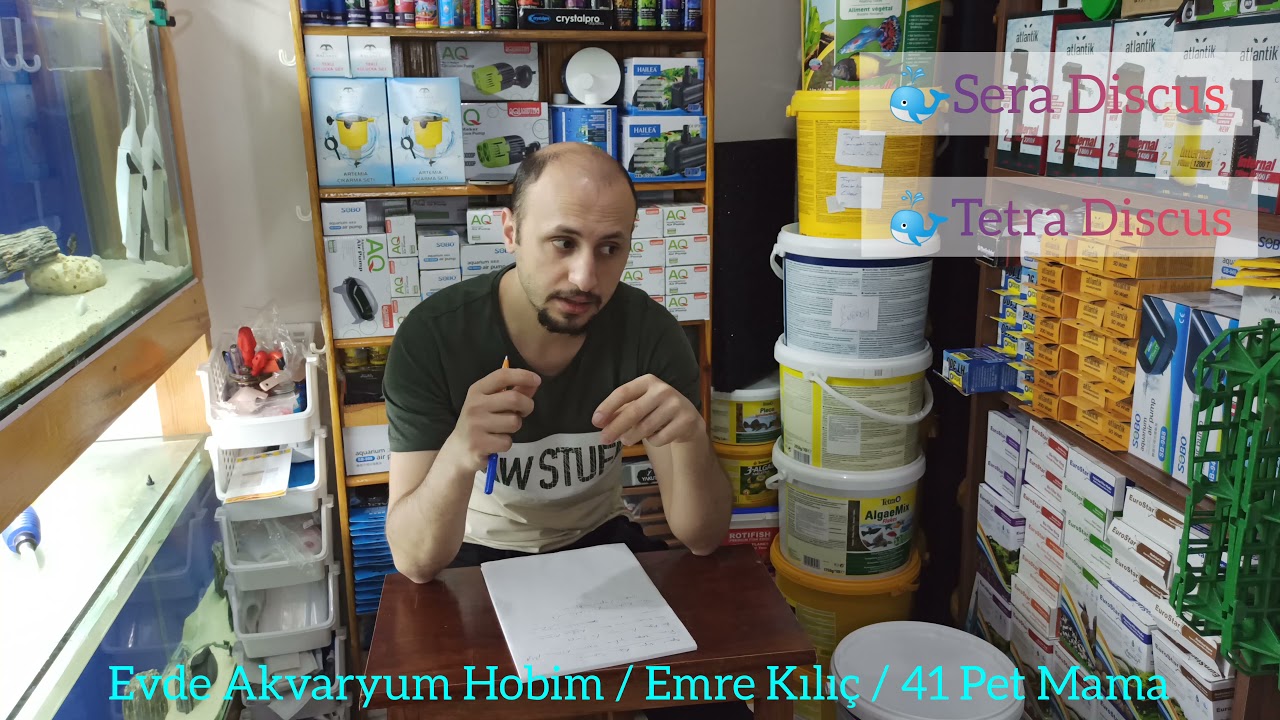 Lepistes Balıkları İçin Yem Tavsiyeleri
