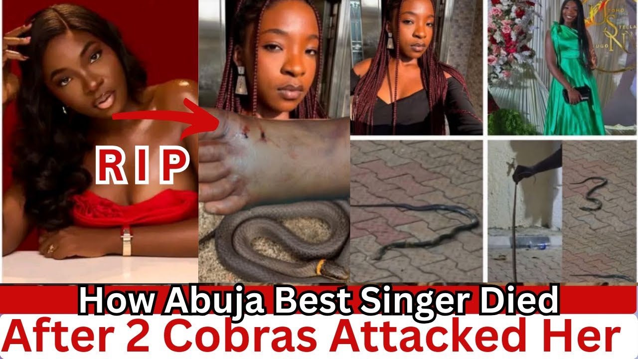How Abuja Fast Rising Singer Died From A Cobra's Bite