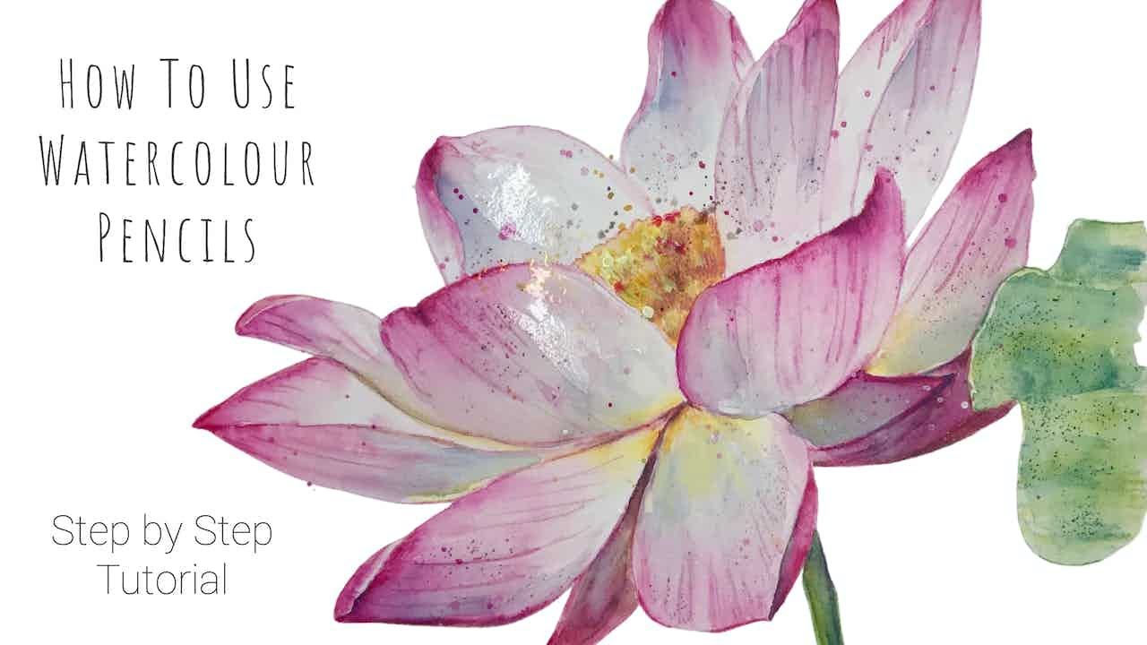 How To Use Watercolour Pencils - Flower Painting Tutorial