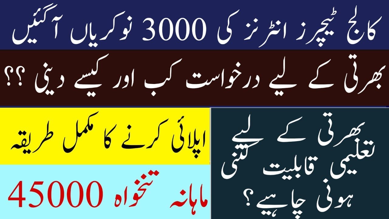 College CTIs Jobs 2021 || College Teachers Interns Jobs || How to Apply for CTI Job || 45000 Salary