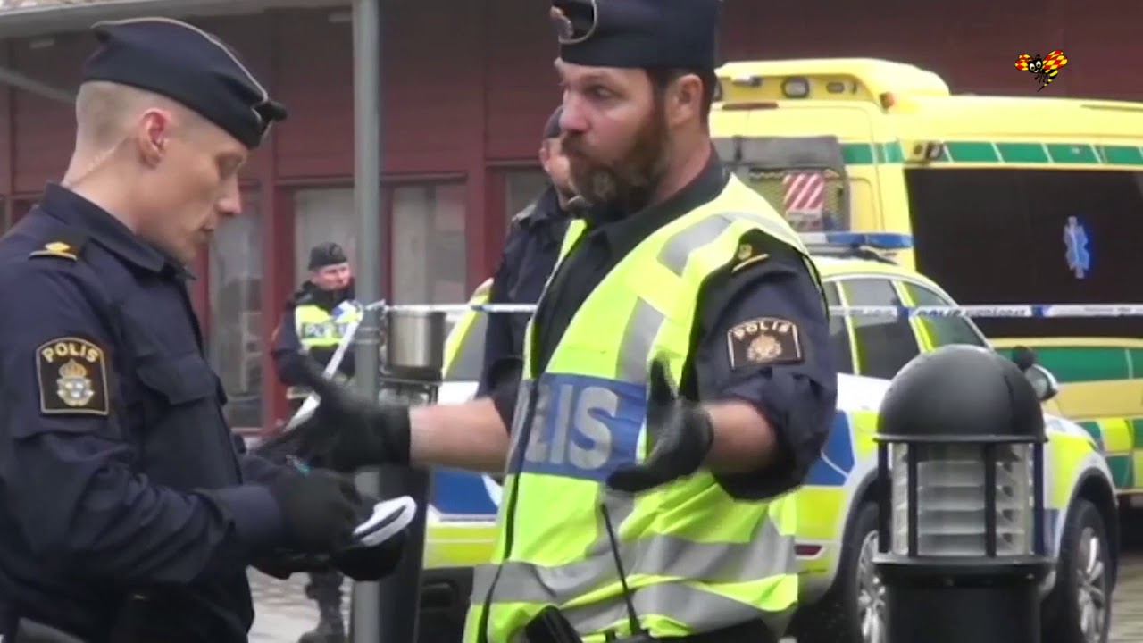 Skolmördaren Anton Lundin Petterssons bror: Han sköt mot grannhuset