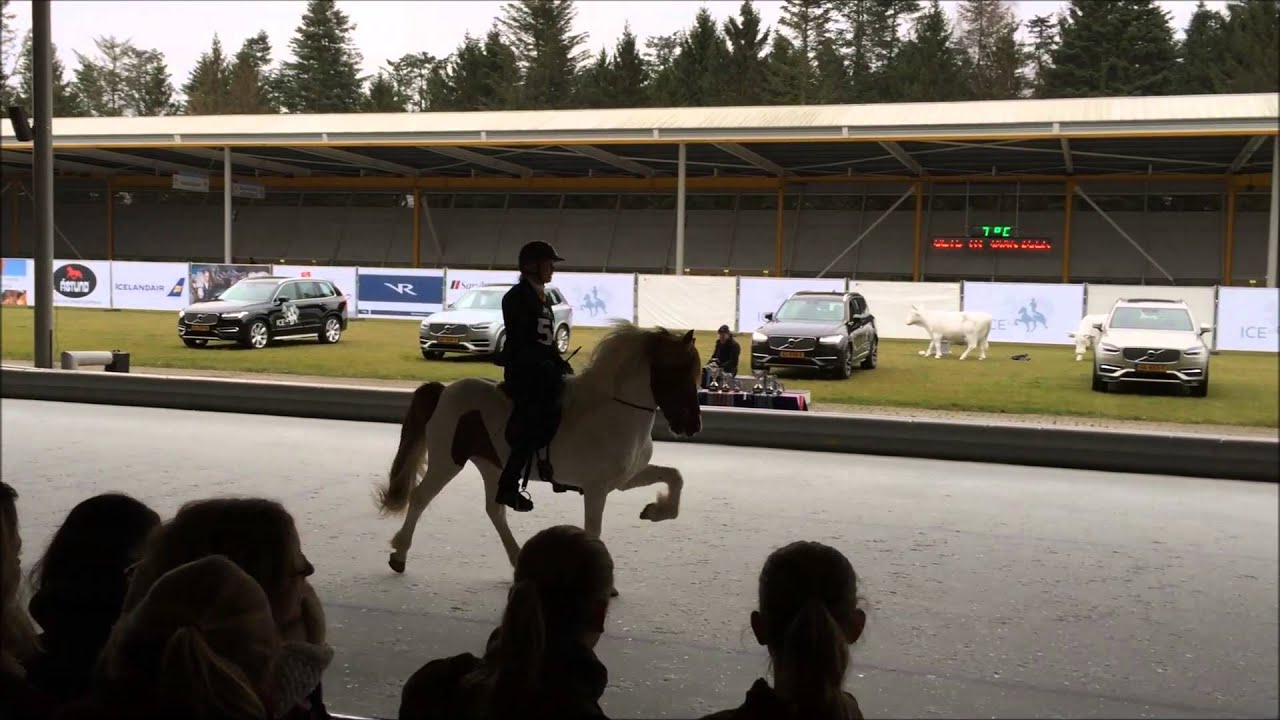 Icehorse 2016 Eindhoven