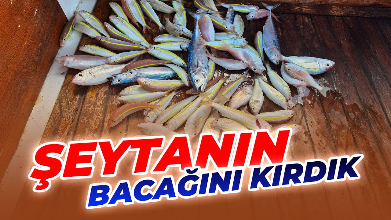 Antalya’da Sabah Suyu Bereketi! Şeytanın Bacağını Kırdık, Rekor Balık Geldi!