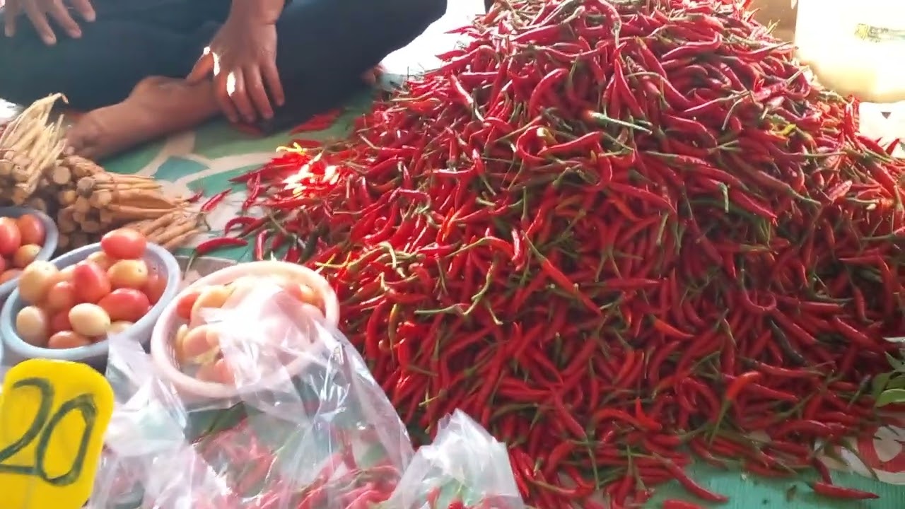 มาชมตาดนัดบ้านดวนใหญ่ ต.ดวนใหญ่ อ.วังหิน จ.ศรีสะเกษ