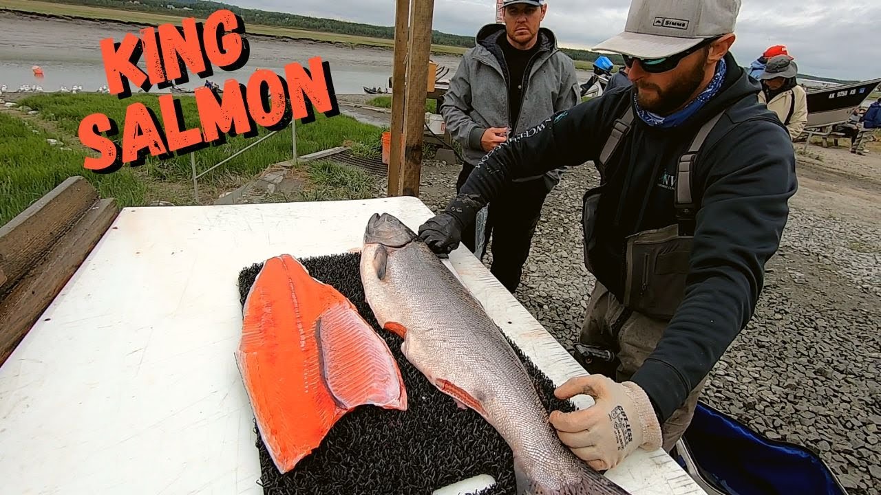 How to Fillet a 20lb. King Salmon...Quick and Efficient!