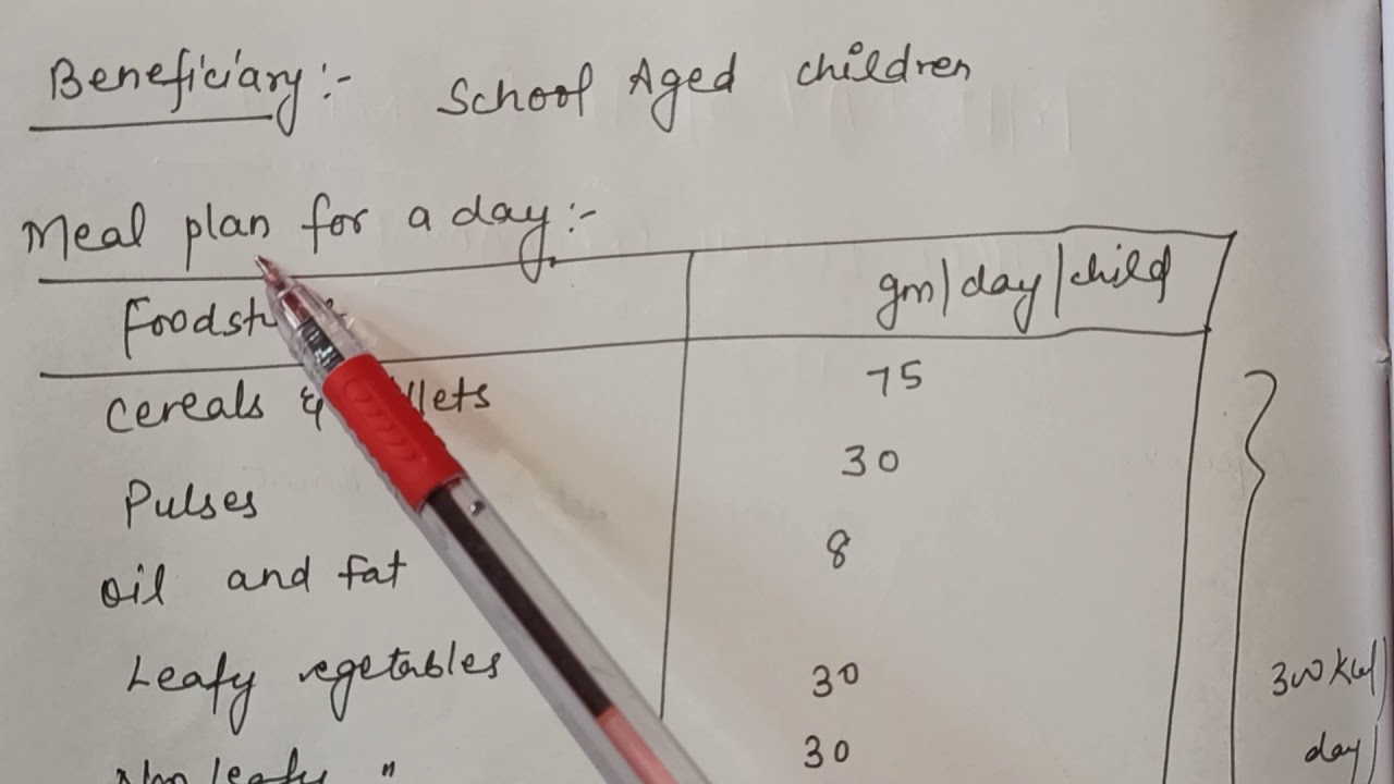 Mid Day Meal Program/School Lunch Program