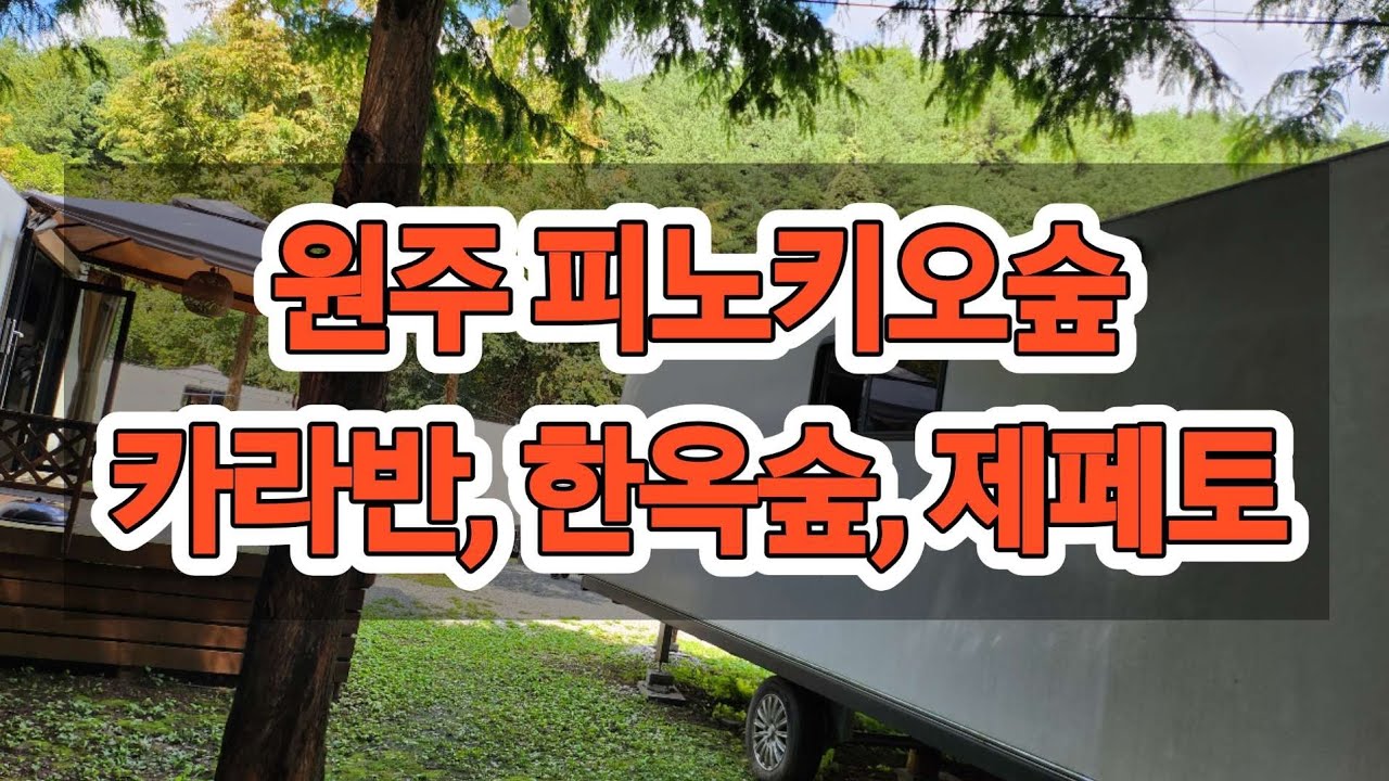 원주 피노키오 숲체험, 카라반, 한옥숲, 산악자전거, MTB, 수영장,힐링#산책#정글숲#한옥숲카페#수영장#캠핑#바베큐