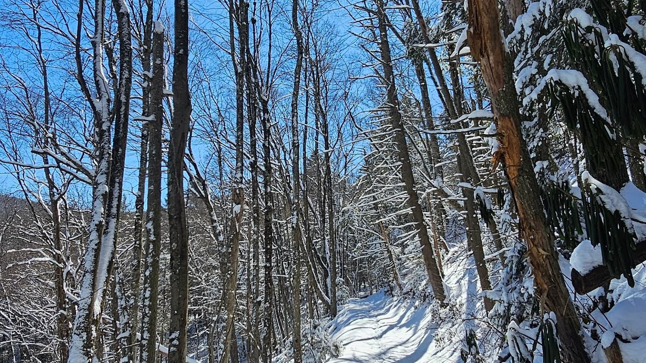 Conservancy Trail 
