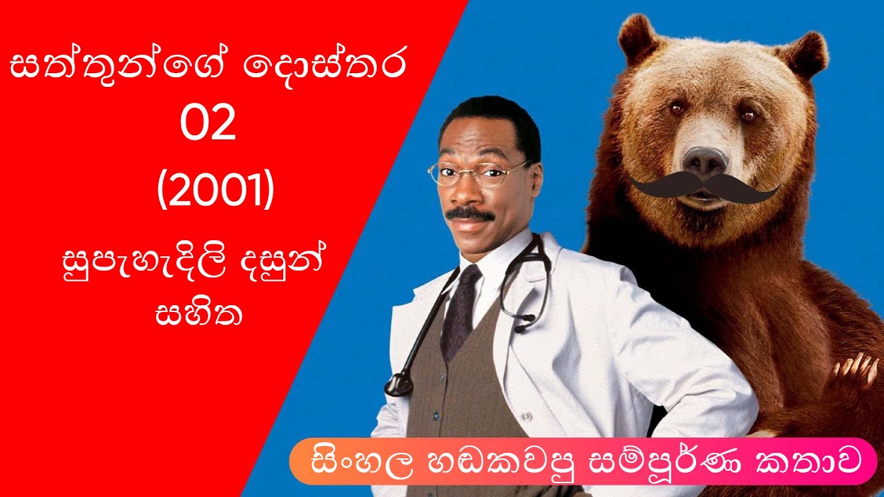 DOCTOR DOLITTLE 2 (2001)- MOVIE SINHALA REVIEW