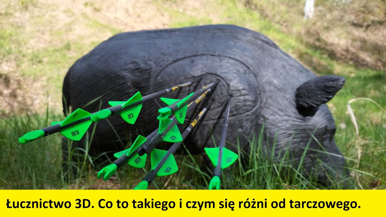 Łucznictwo 3D. Co to takiego i czym się różni od tarczowego.