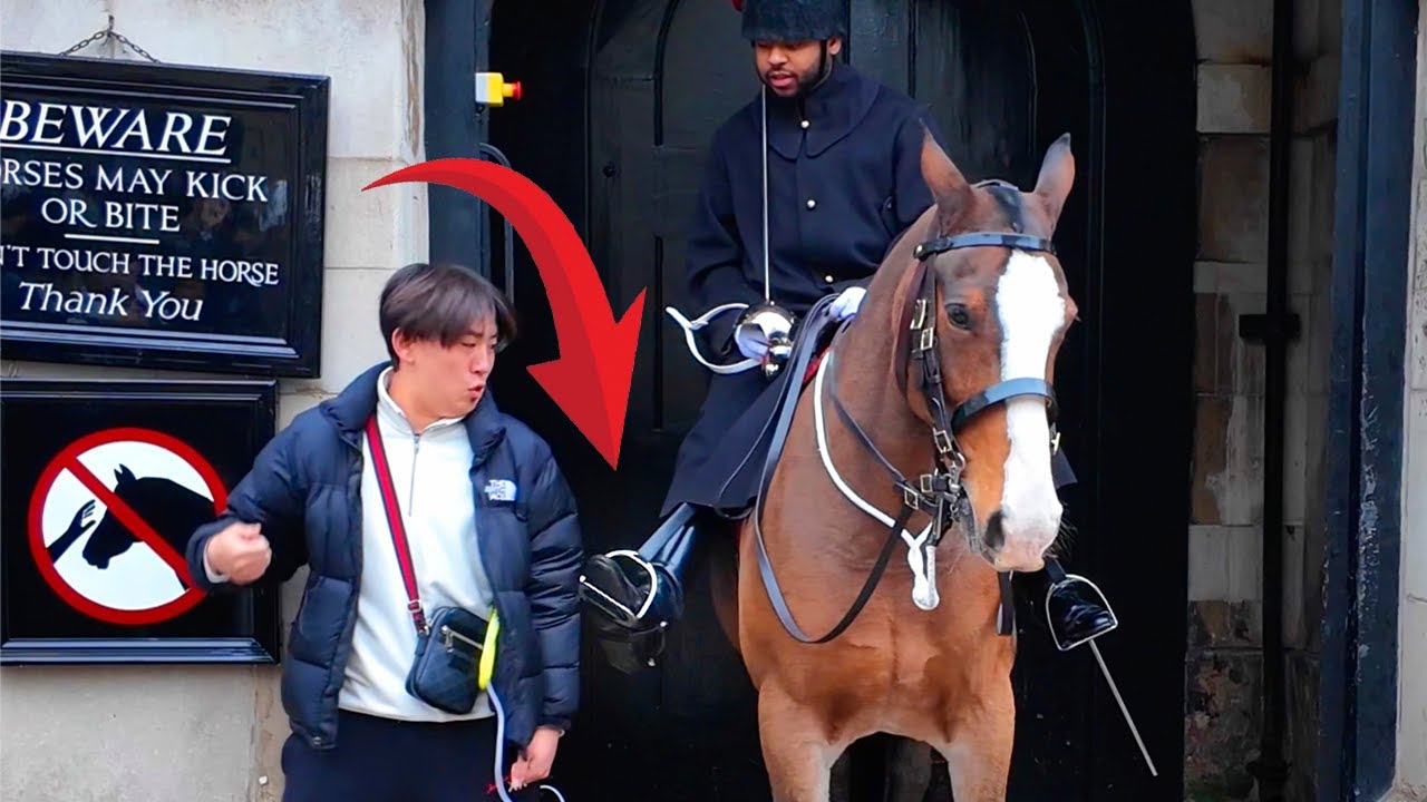 💥🥊King’s Troop in Action: Confronting Tourists Who Cross the White Line!