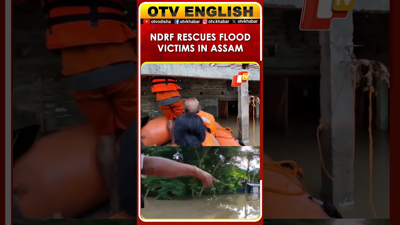 NDRF Launches Rescue Operations As Flash Floods Hit Assam's Teok And Kakojan