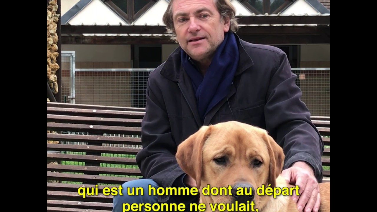Le retour de Jules - Didier van Cauwelaert