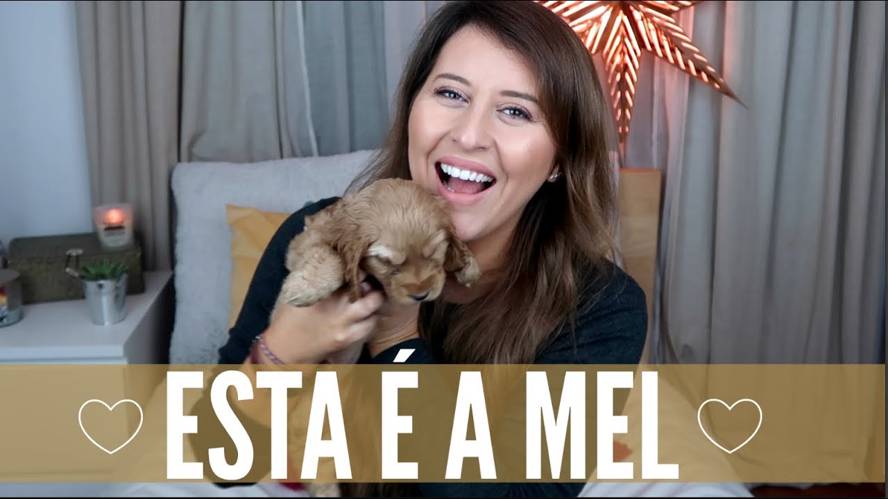 WUS - ESTA É A MEL! | Bárbara Sousa