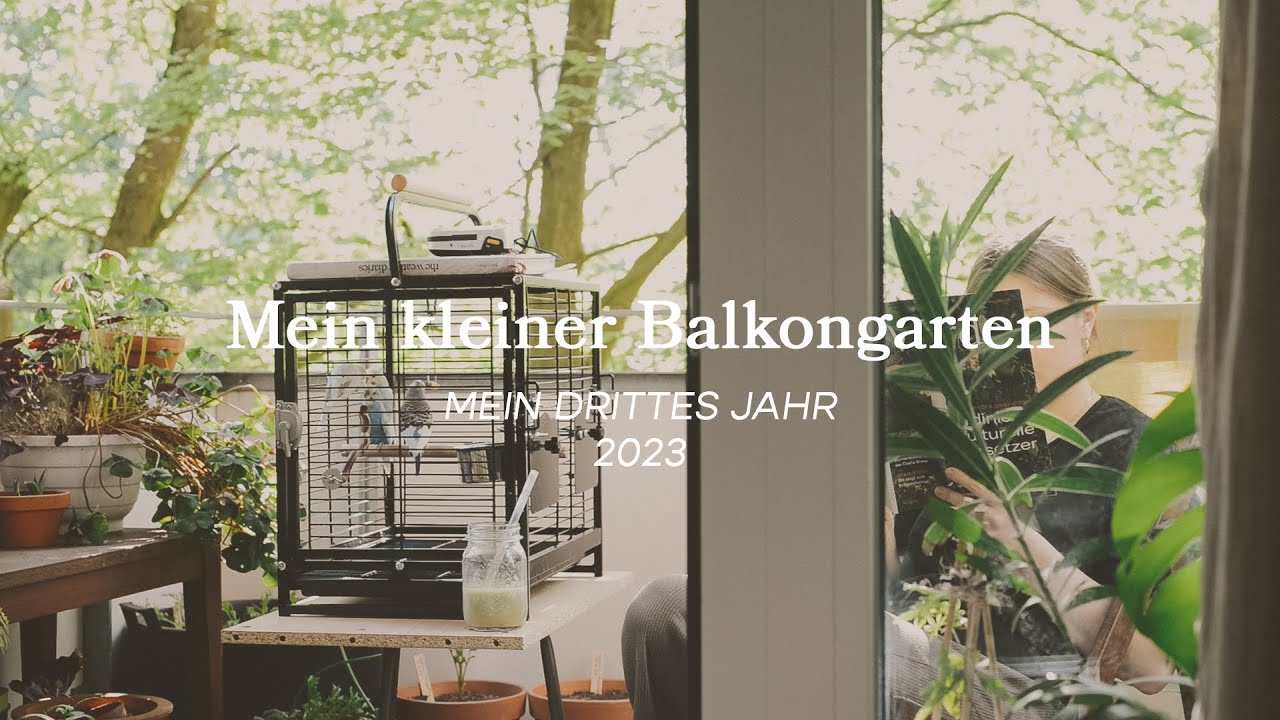 Mein kleiner Balkongarten: mein drittes Jahr (2023) – erstes Jahr in Hamburg 🍓🌱🌦 | GERMAN