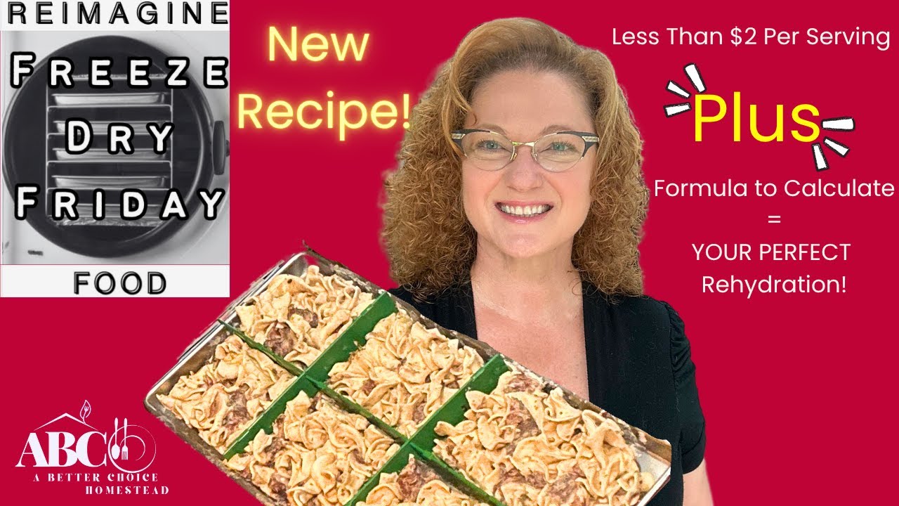 I Freeze-Dried Creamy Beef Noodles and This Happened!