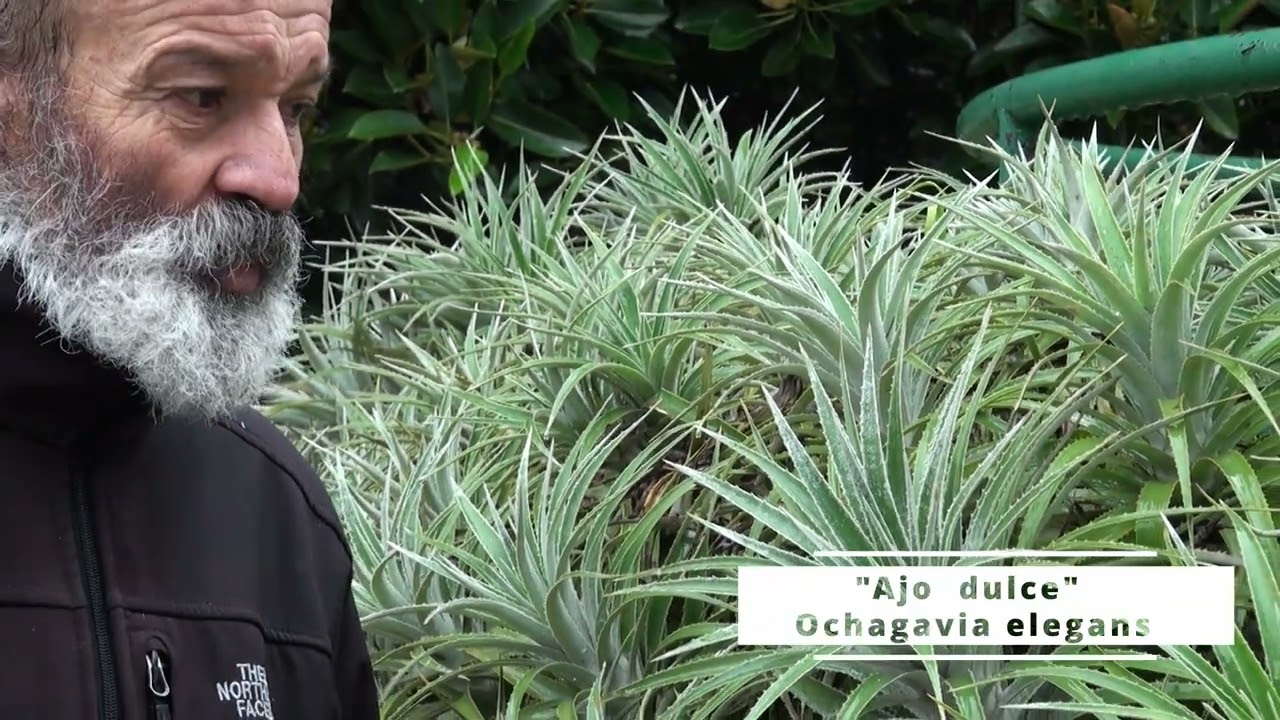 Patricio Novoa se refiere al 