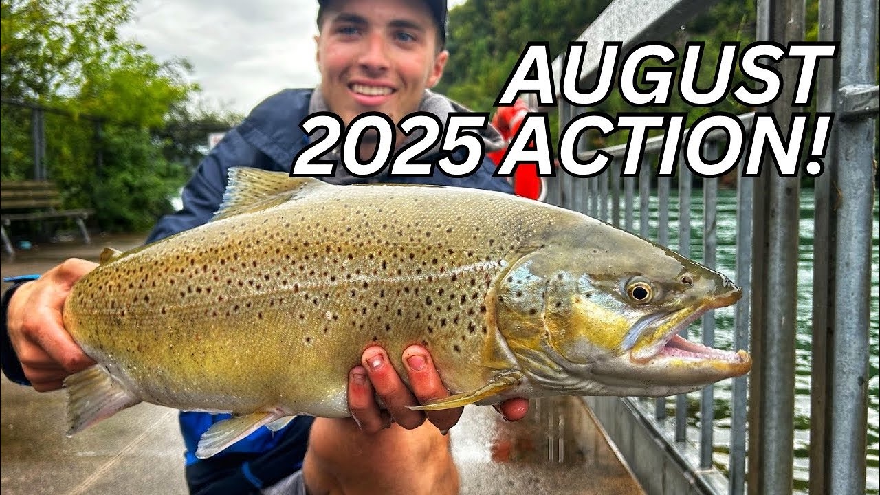 Giant Summer Brown Trout | Lower Niagara River