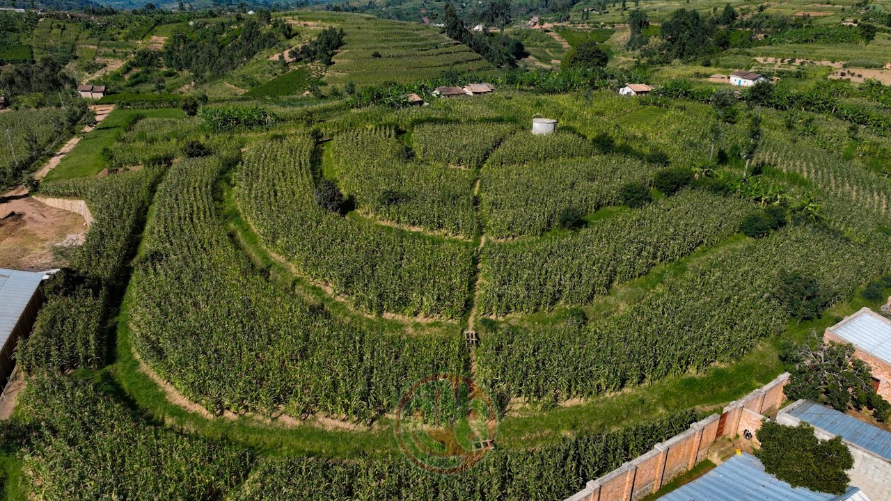 BUTANYERERA, ABAGWIZAMBUTO BARAFISE ICO BIRATA