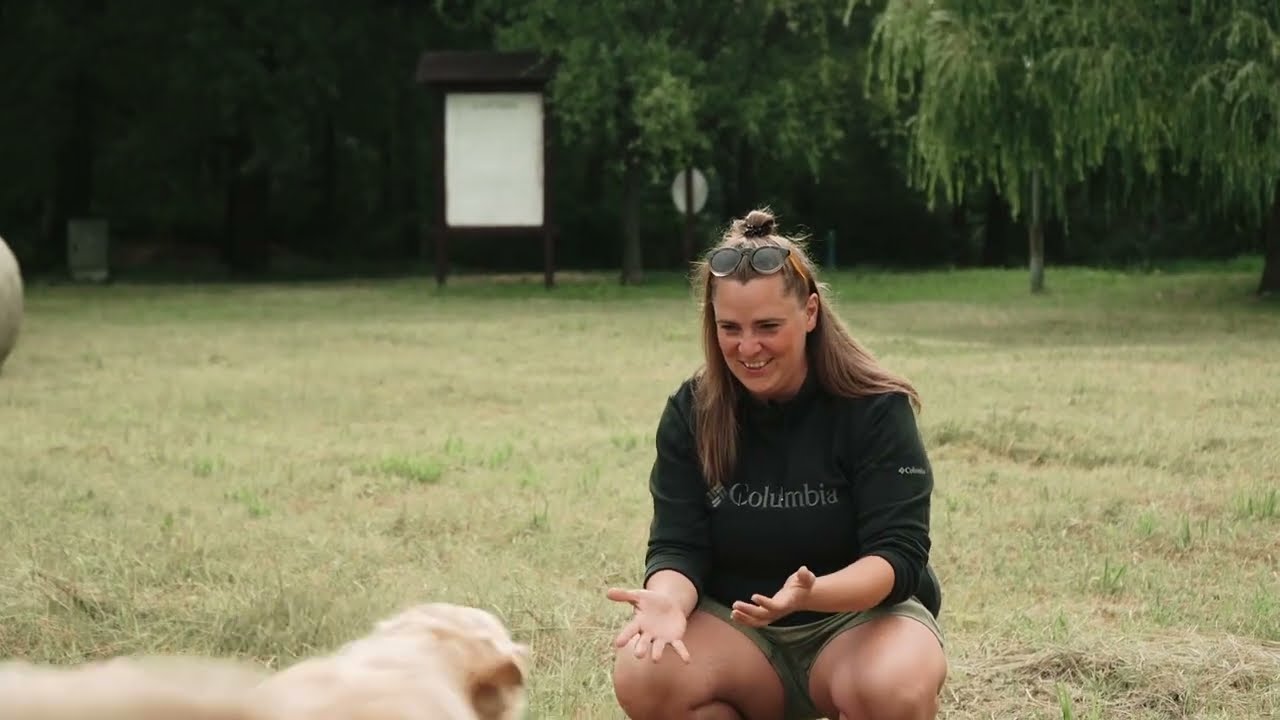 Tipp a kutya beh&iacute;v&aacute;s&aacute;hoz