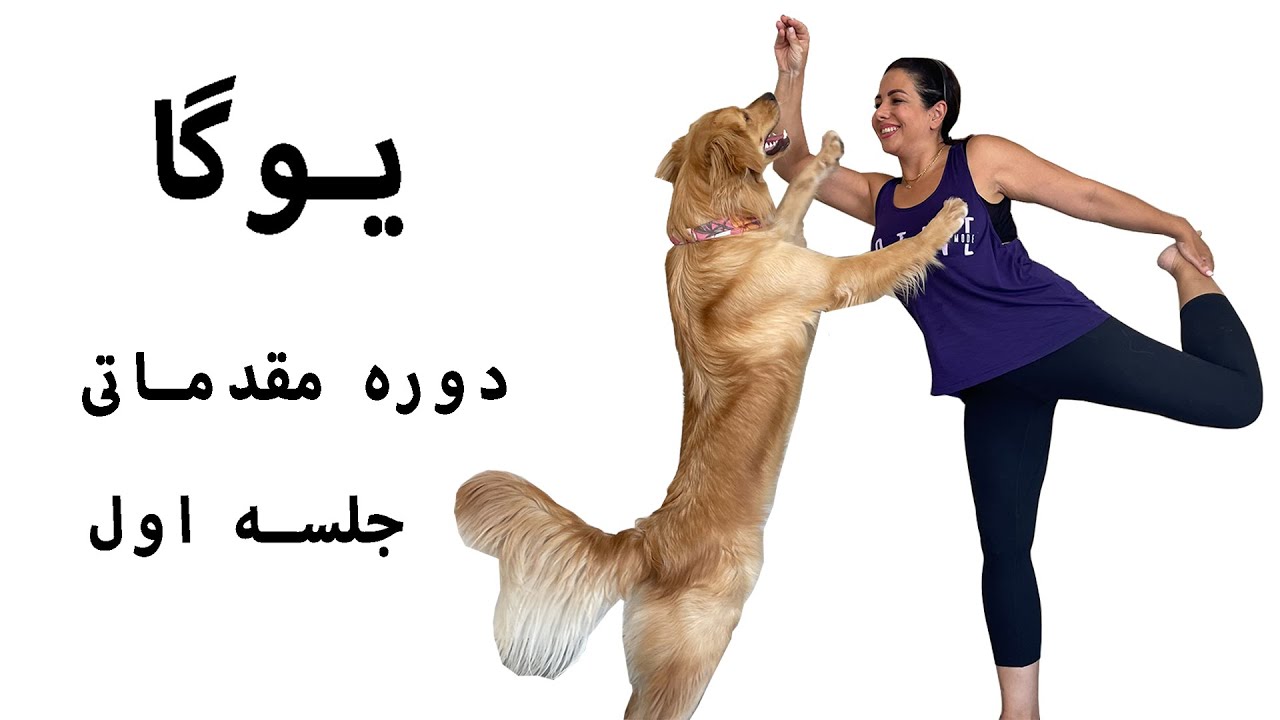 جلسه اول | یوگا مقدماتی | انعطاف پذیری | تمرکز و آرامش | جوان سازی و تناسب اندام | یوگا با لیلا