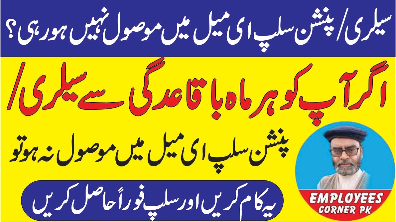 How to Solve Problems in Receiving Pension Slip Salary Slip from PIFRA |  Employees Corner PK