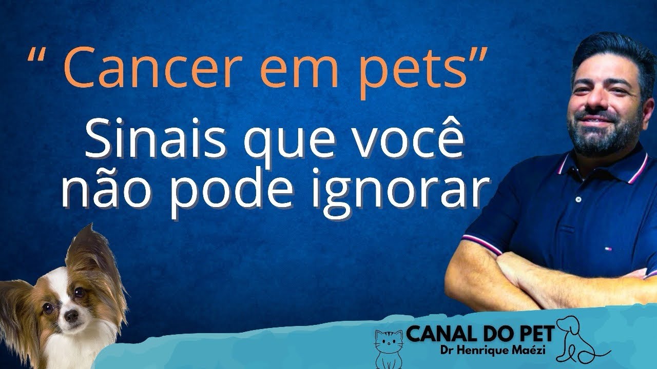 Câncer em pets ! Sinais que você não pode ignorar