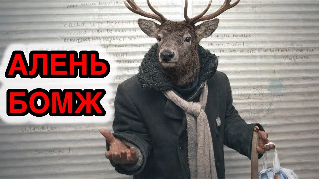 Печальная судьба Аленя - бомжа.