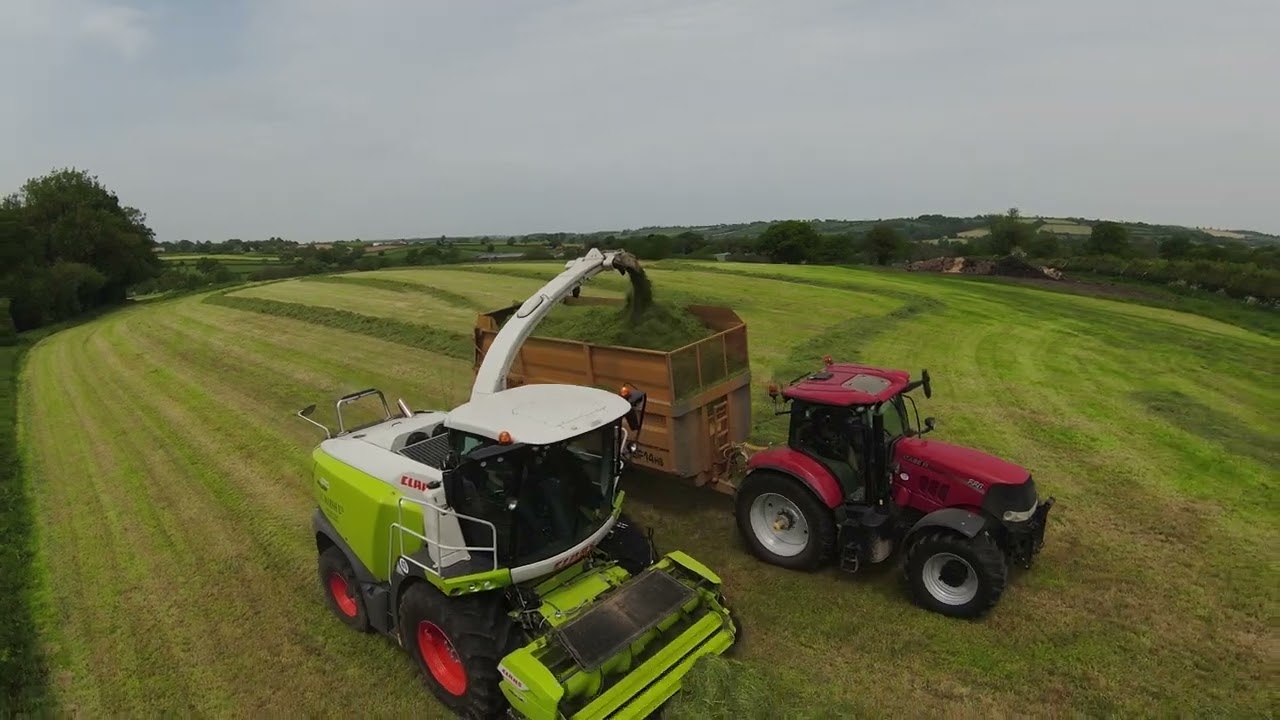 silaging 2023 first cut with class jaguar 970 jcb 419s