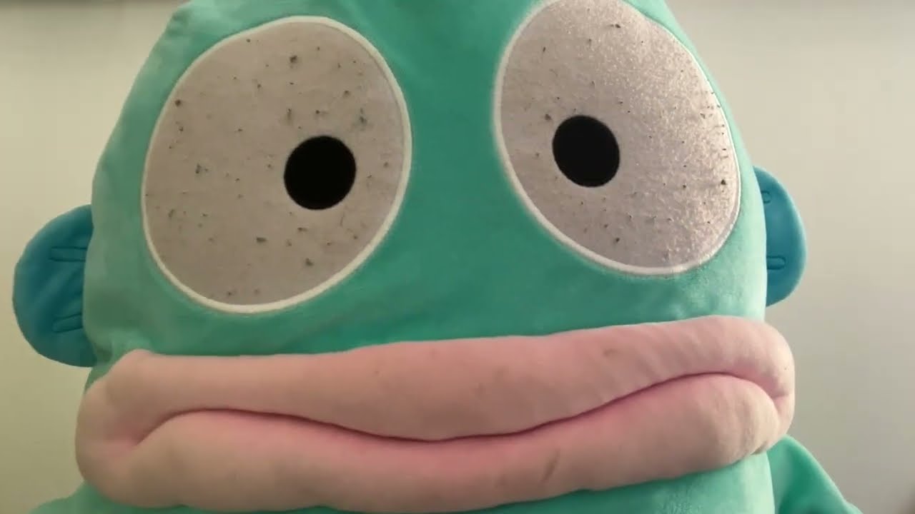 🎥 Static Camera ASMR ⎜Welcome to the World of Stuffed Animals