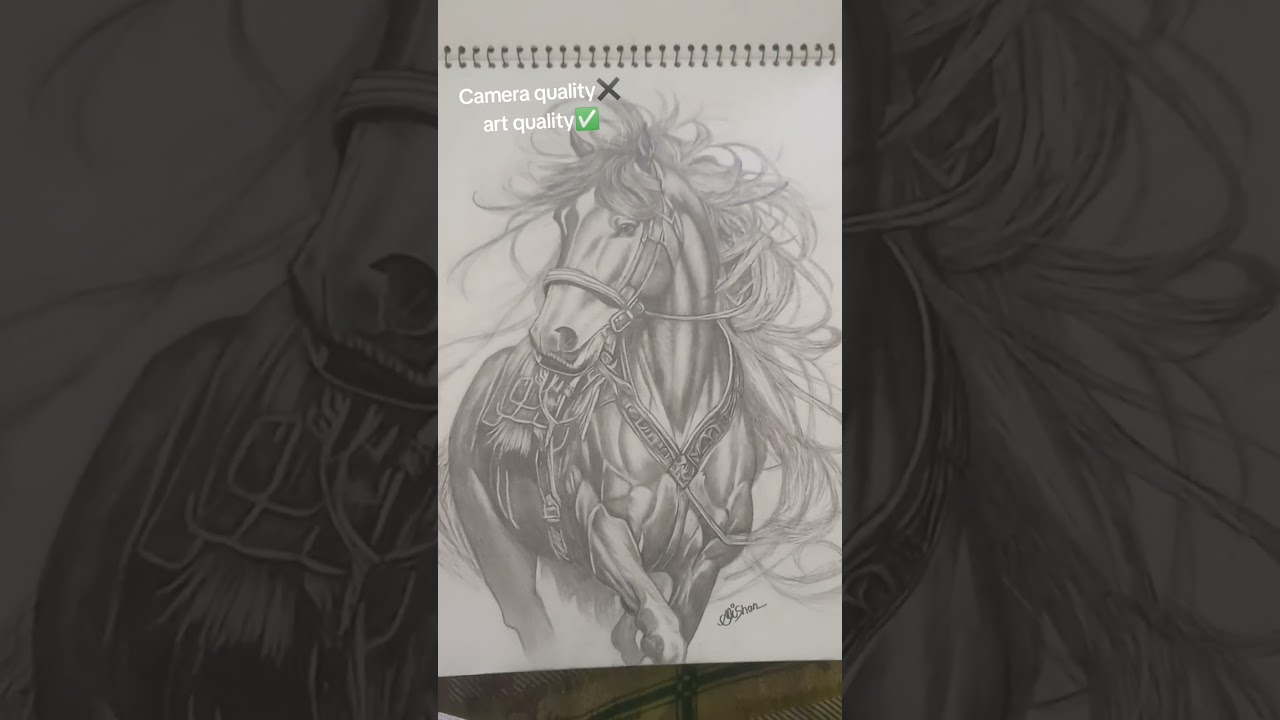 Camera quality ✖️ art quality ✅ 