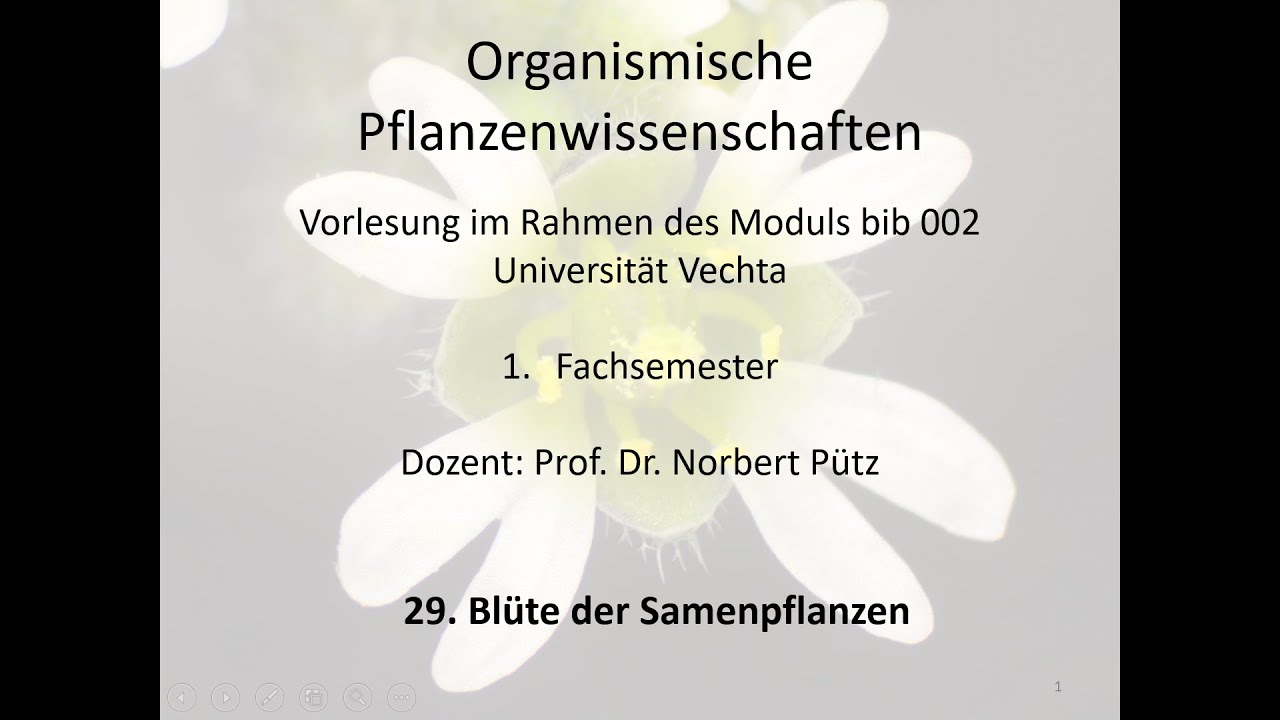 bib002_29 Blüte der Samenpflanzen