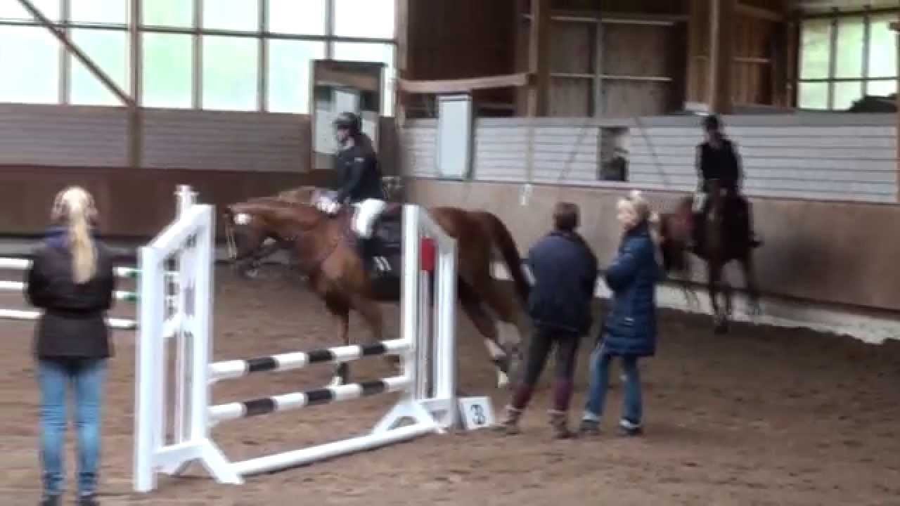 Tascha & Zibby Springreiter-WB T&uuml;bingen-B&uuml;hl  02.05.15